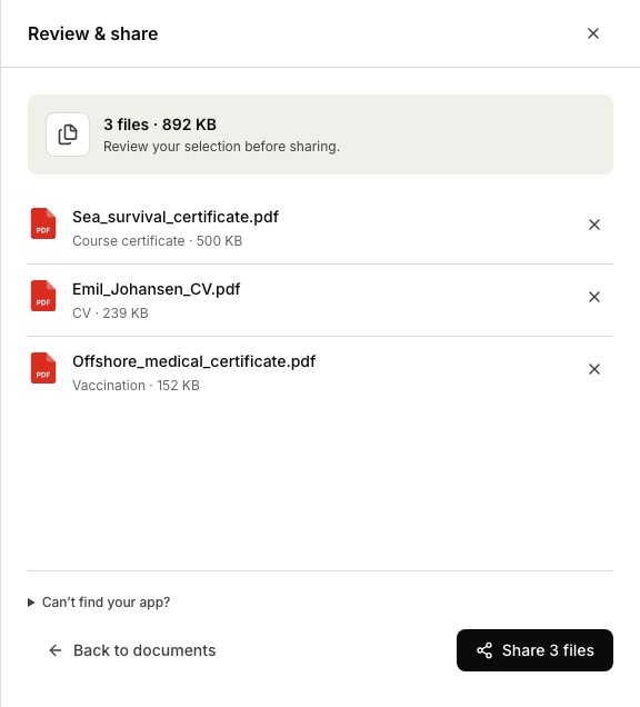 Panelet Review &amp; share med de tre valgte filene, type og størrelse, og knappen Share 3 files.